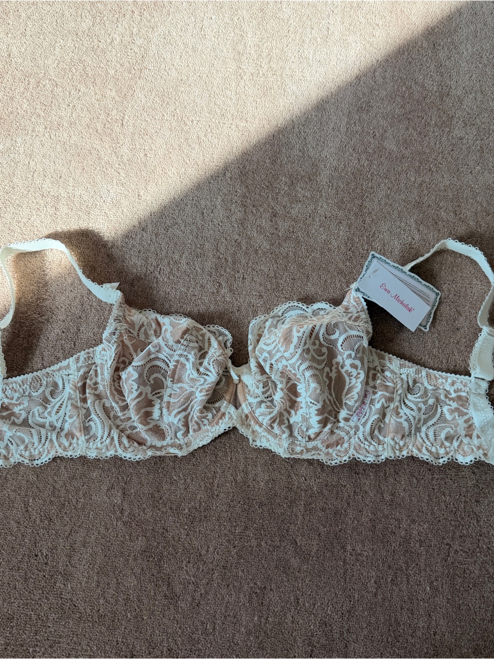 Ewa Michalak Lace Underwire Bra in Ivory 70FF